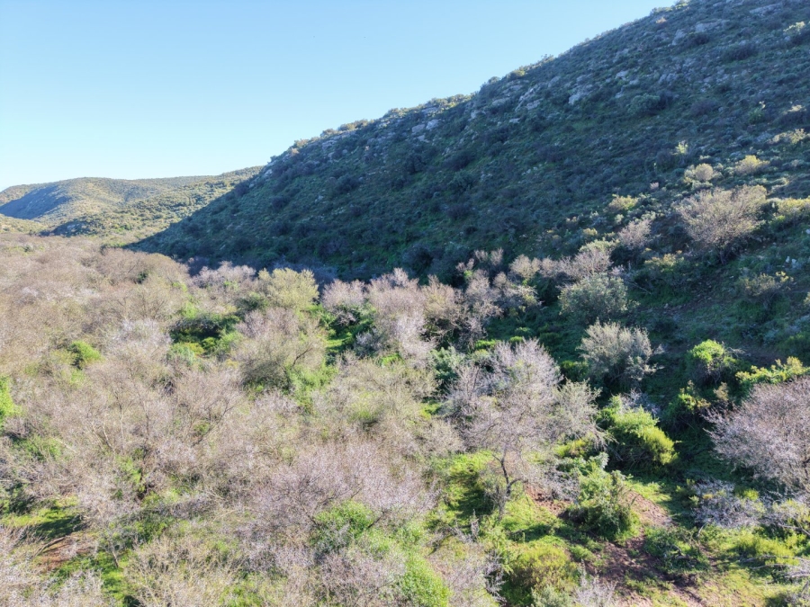 Commercial Property for Sale in Mossel Bay Rural Western Cape